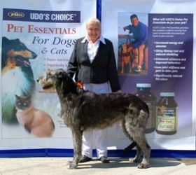 Nutrition natural, for Dogs & Cats, pets, Omega-3 products