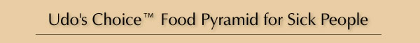 Udo's Choice™ Food Pyramid for Sick People