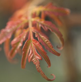 Udo Erasmus - Nature photography