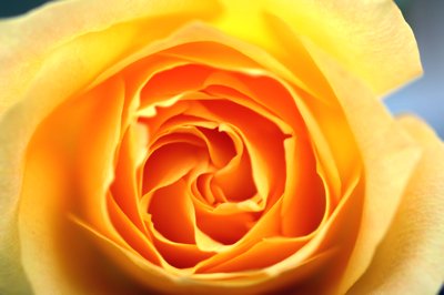 Udo Erasmus Nature Photo