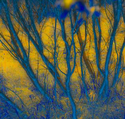 Udo Erasmus Photography