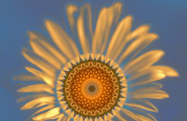 Udo Photo - Boddi Design Mandala!
