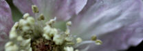 Udo Erasmus photography
