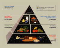 Click here for USDA food pyramid