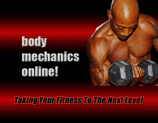 Body Mechanics Fitness logo